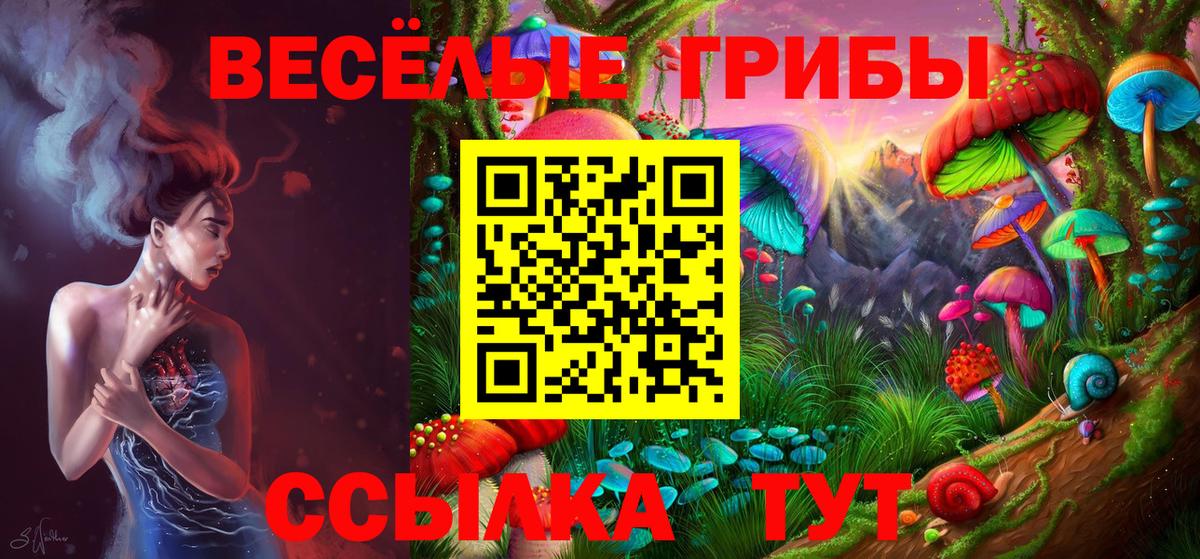 Псилоцибиновые грибы Psilocybe Нефтеюганск